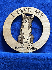 border collie