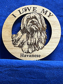 havanese