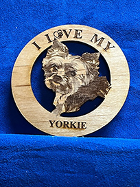 yorkie