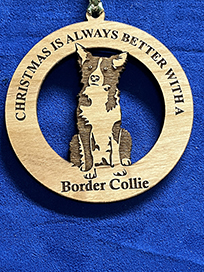 border collie