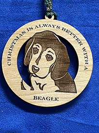 beagle