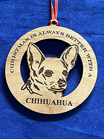 chihuahua