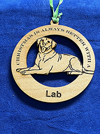 lab 1