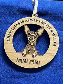 mini pini