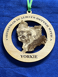 yorkie