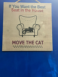 movecat